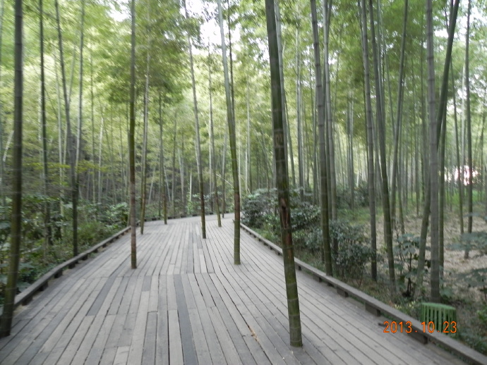 溧阳：南山竹海