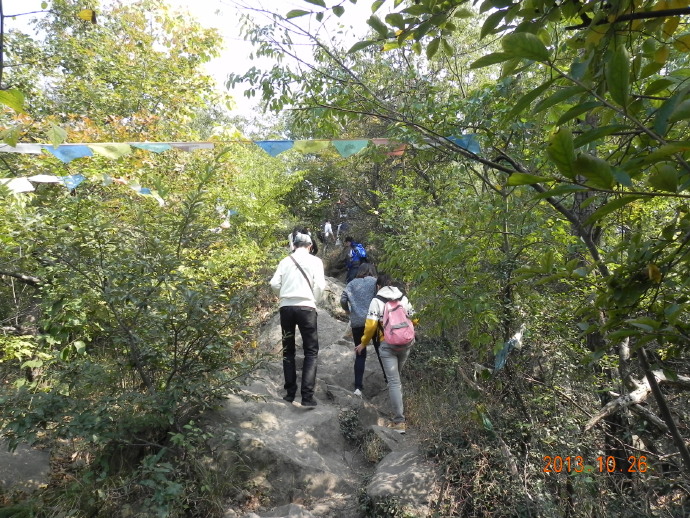 栖霞山、总统府、天朝和市长