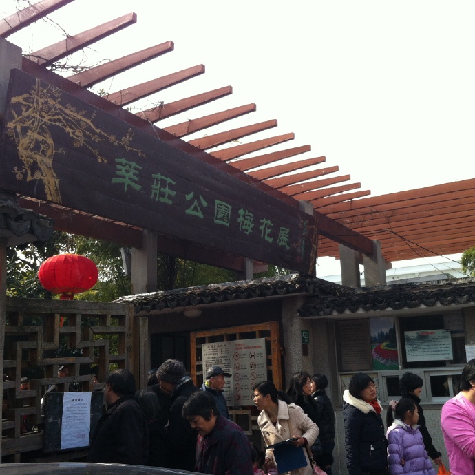 一日看遍上海花