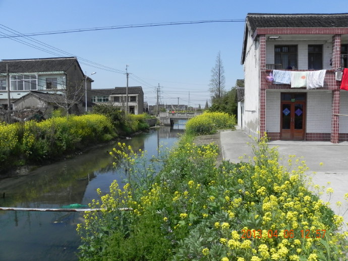 &ldquo;菜花&rdquo;季