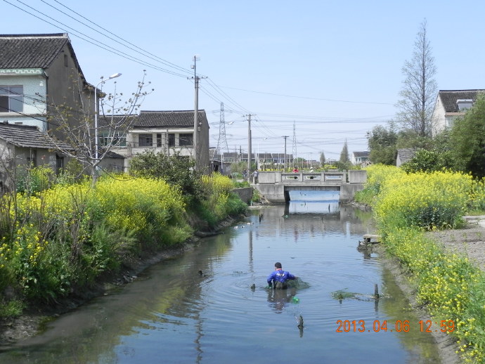 &ldquo;菜花&rdquo;季