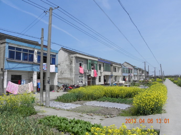 &ldquo;菜花&rdquo;季