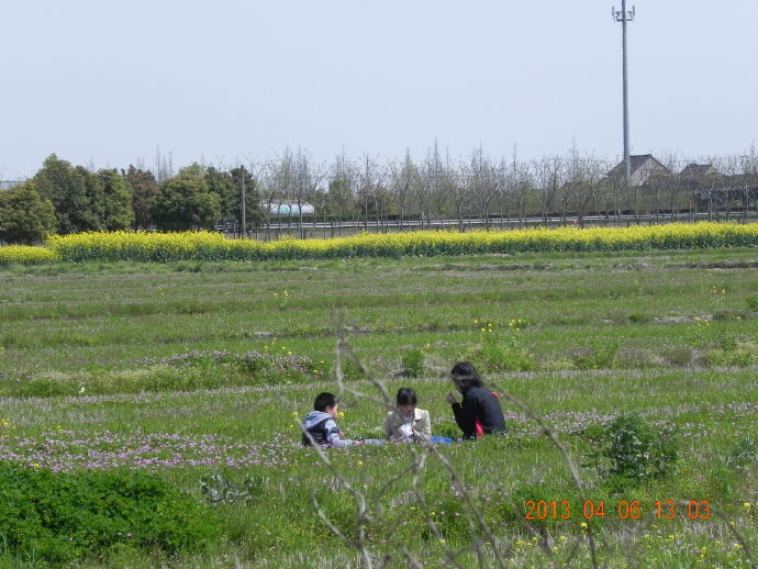 &ldquo;菜花&rdquo;季