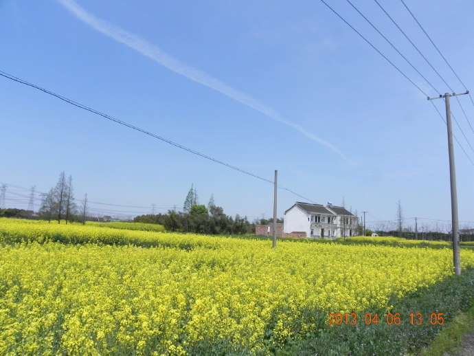 &ldquo;菜花&rdquo;季