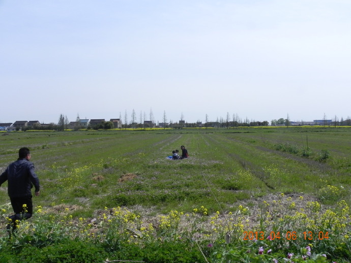 &ldquo;菜花&rdquo;季