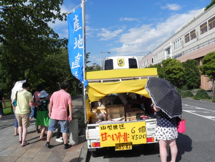 日本：东京的港湾