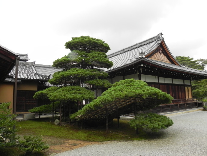 日本游追记：京都之金阁寺和一休