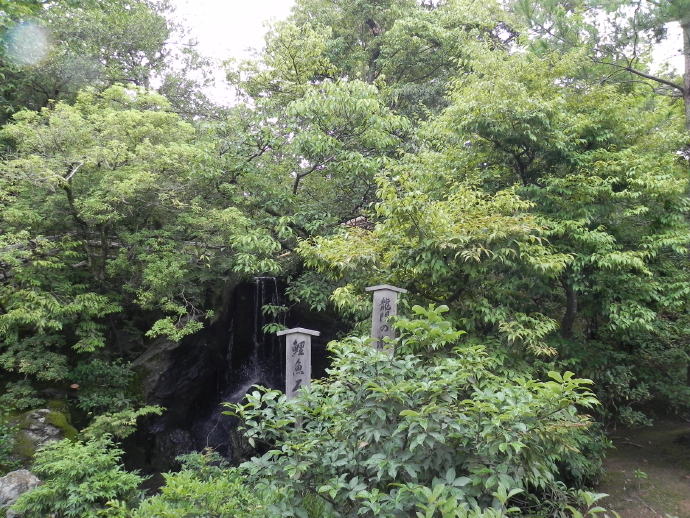 日本游追记：京都之金阁寺和一休
