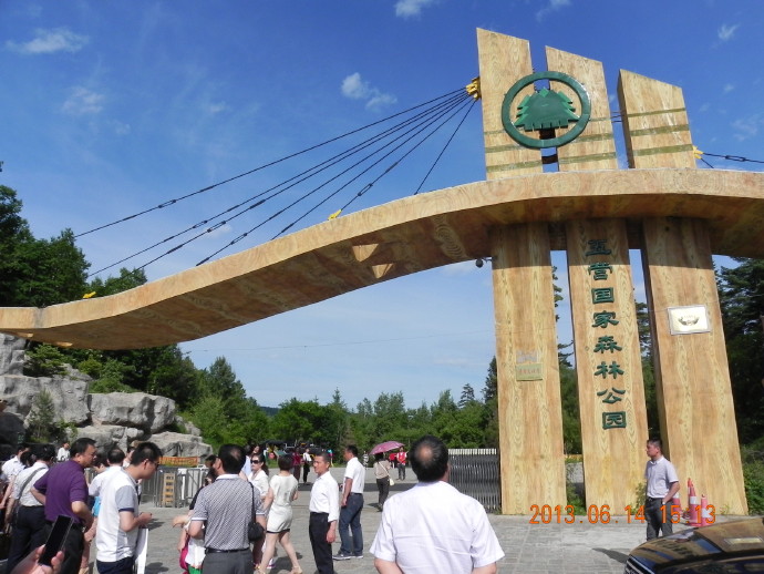 伊春：&ldquo;五营&rdquo;红松林的负氧离子之旅