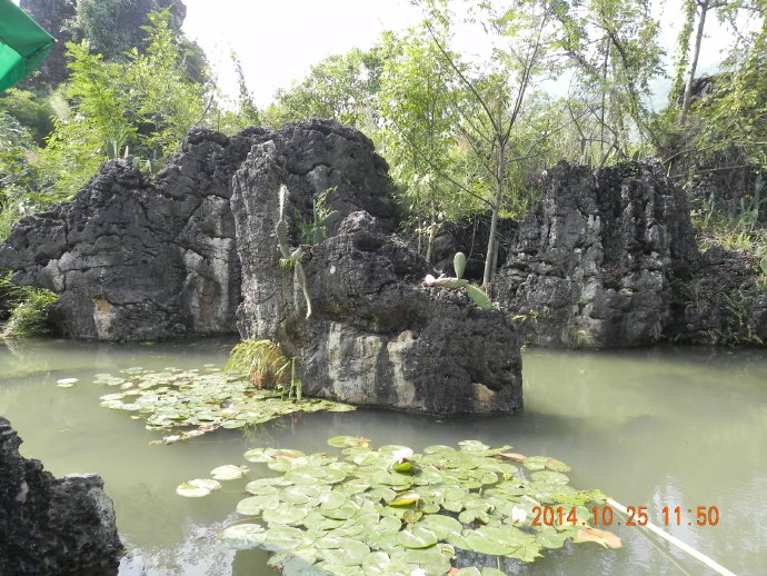黔之驴：从黎平到黄果树