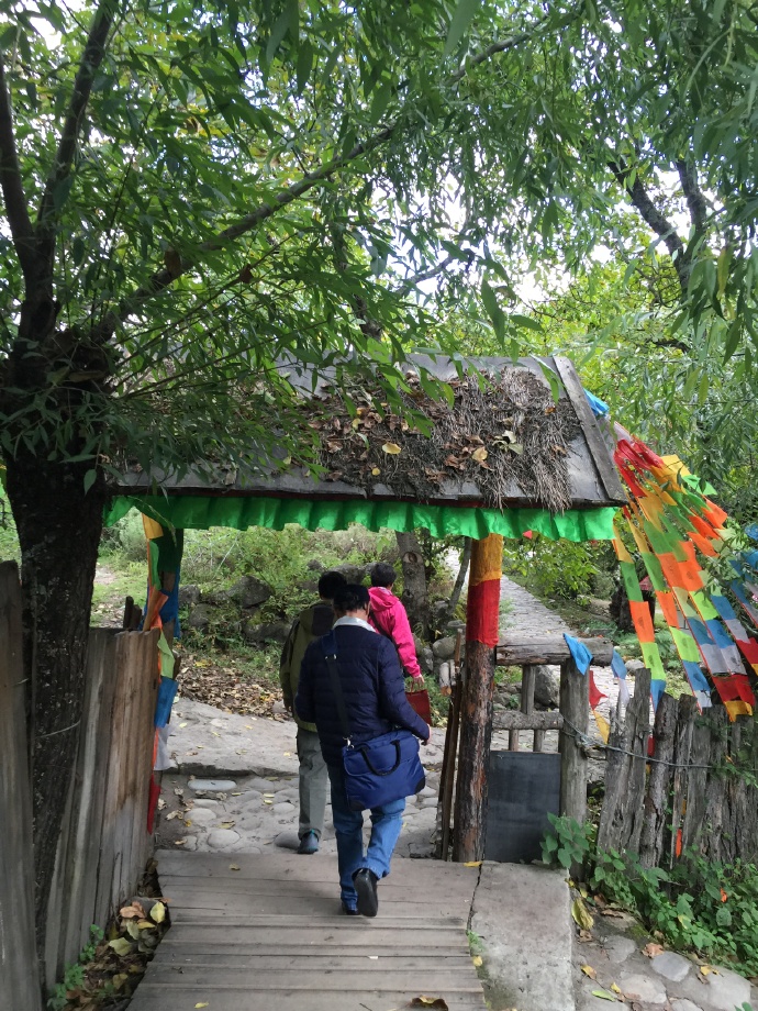 西藏：林芝感觉