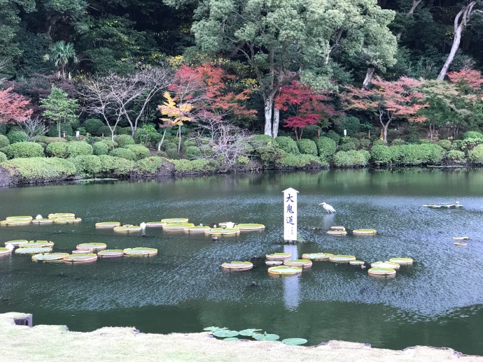 日本的&ldquo;地狱&rdquo;赛人间