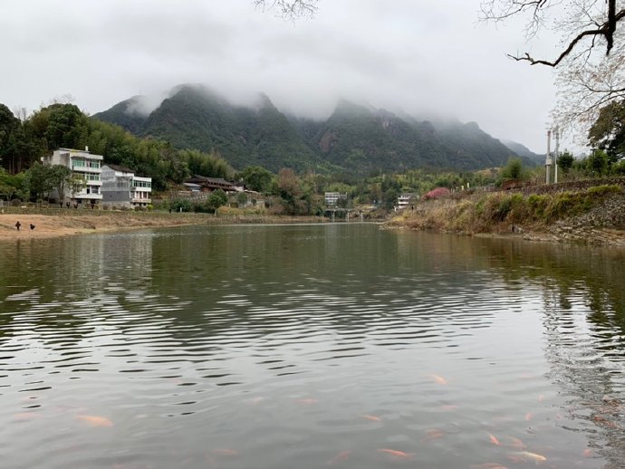 廊桥不遗憾，我们&ldquo;滞后&rdquo;了一点点