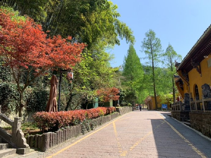伊后九华山