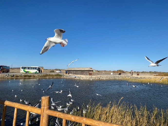 居延海