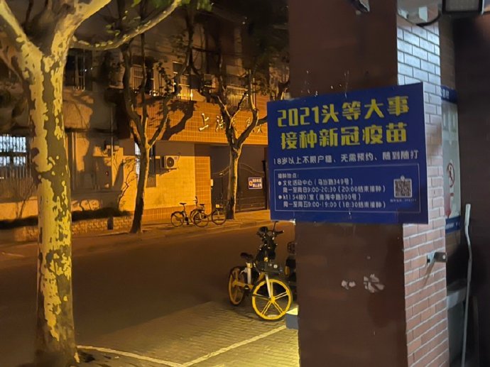 冷干黄梅