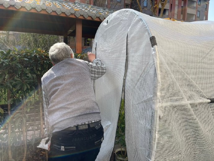 老中医悠然当农夫