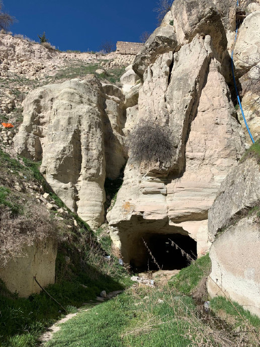 狗狗护我逛峡谷
