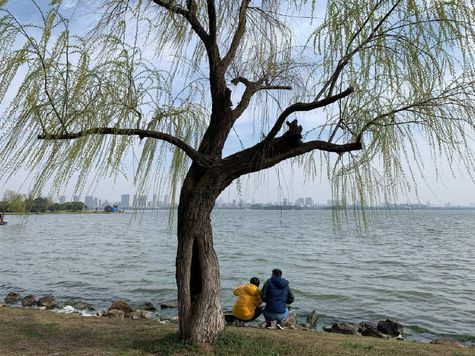 无锡蠡园之桃红柳新