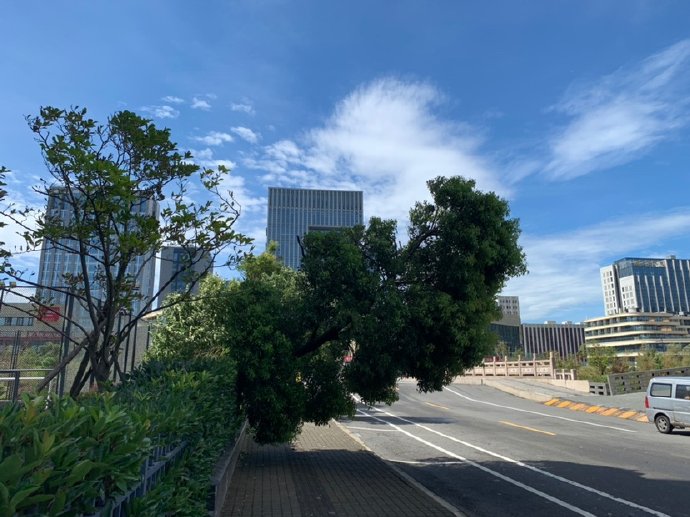 台风&ldquo;利奇马&rdquo;