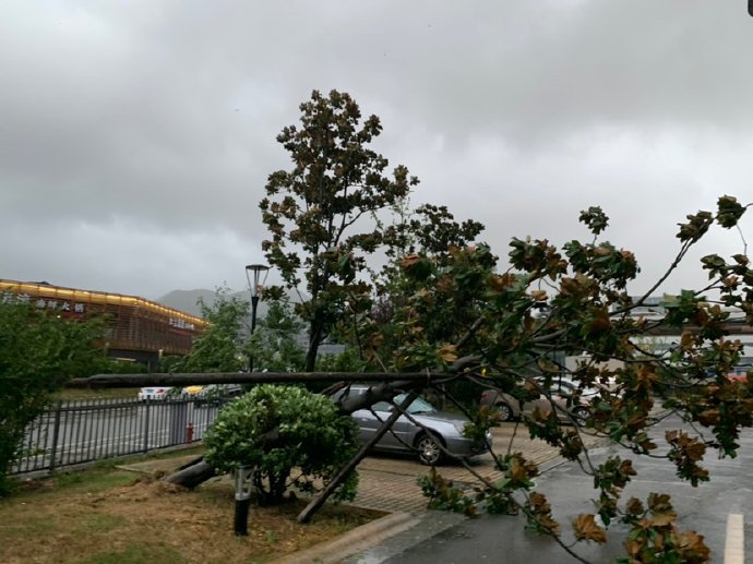 台风&ldquo;利奇马&rdquo;