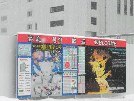 北海道自由行之第二站：旭川之动物猎奇