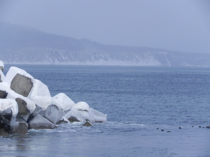 北海道自由行之&ldquo;网走&rdquo;观&ldquo;流冰&rdquo;