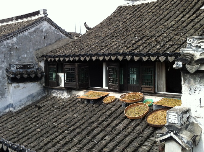 &ldquo;走读&rdquo;式旅游：沙溪古镇印象